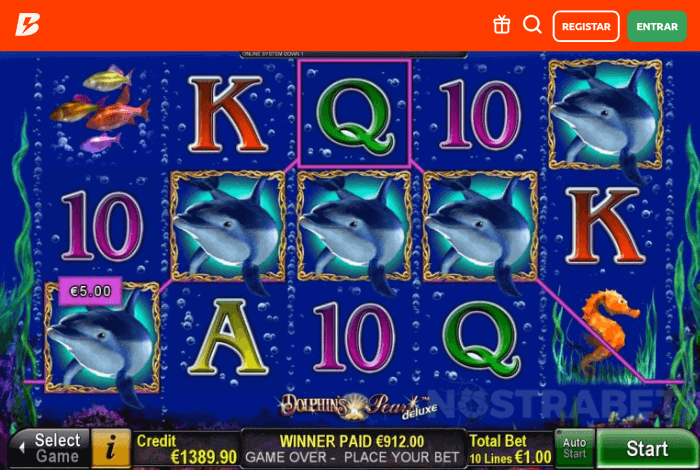 dolphin's pearl slot betano